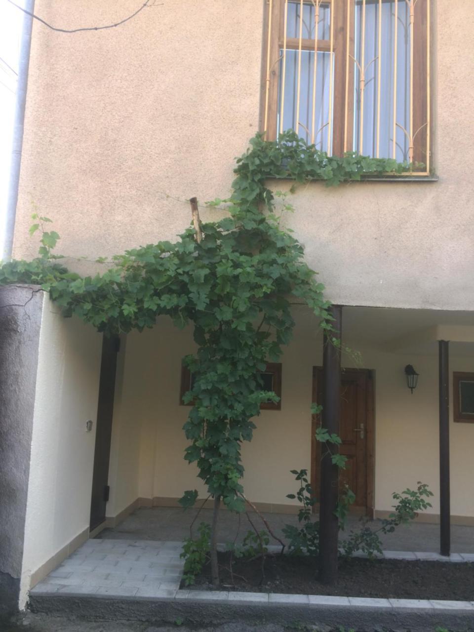 Guest House Kartuli Suli Telavi Exterior foto